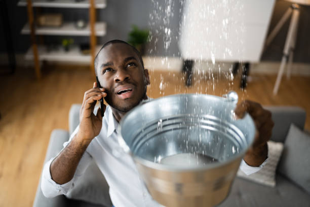 Best Flood damage cleanup  in Bellflower, CA