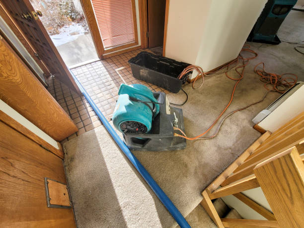 Best Ceiling water damage repair  in Bellflower, CA