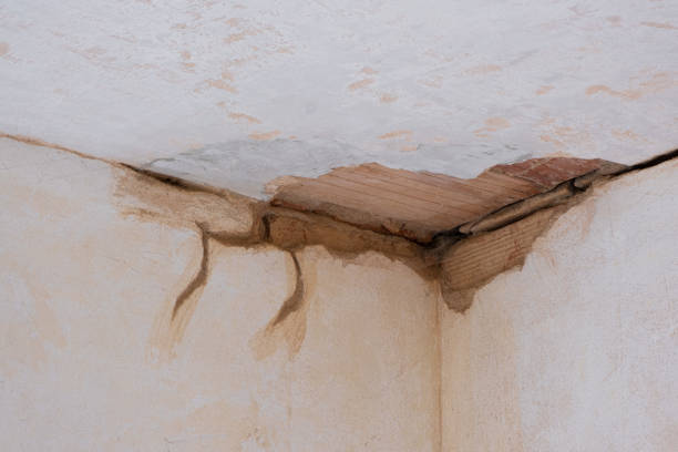 Best Residential water damage restoration  in Bellflower, CA