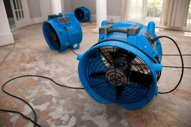 Professional Water damage restoration in Bellflower, CA