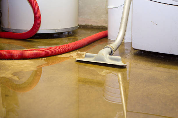 Best Water damage restoration insurance claims  in Bellflower, CA