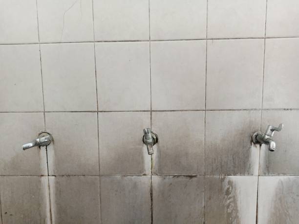 Best Water damage cleanup near me  in Bellflower, CA