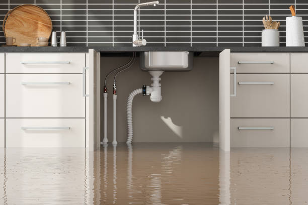 Best Water damage restoration near me  in Bellflower, CA