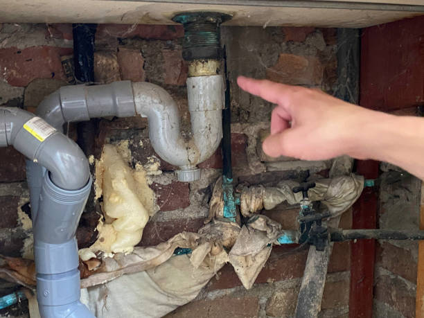 Best Flooded house restoration  in Bellflower, CA