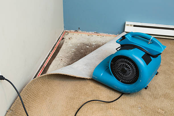 Best Water damage restoration near me  in Bellflower, CA